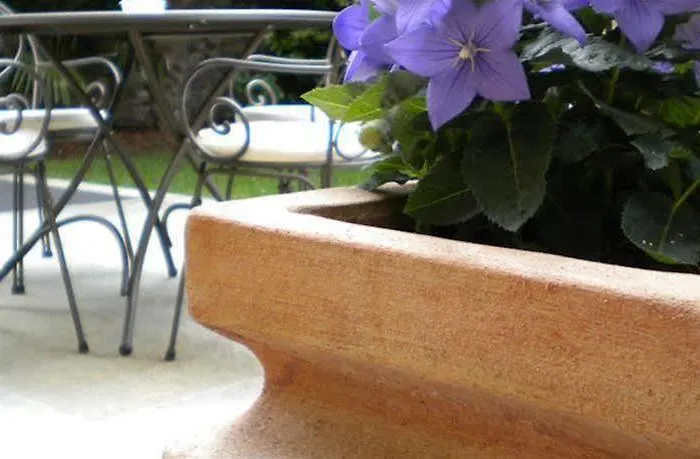 Palmira 호텔 카노비오